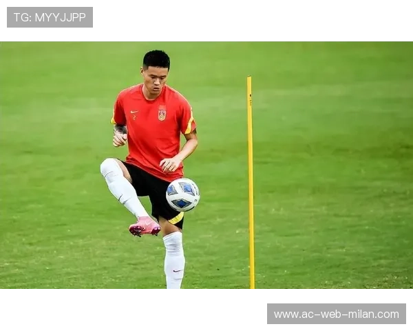 32岁前国脚恐被海港放弃,多队争抢燃起转会大战