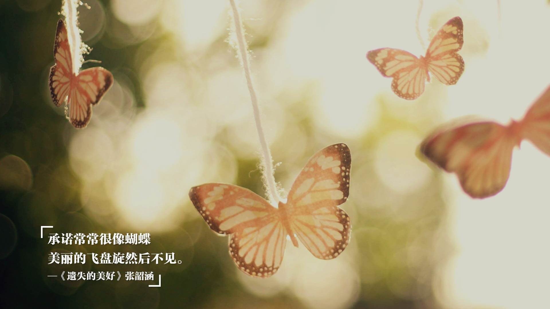 亚冠联赛国家队战胜 球迷鼓励球队奋进，亚冠球队回国了吗