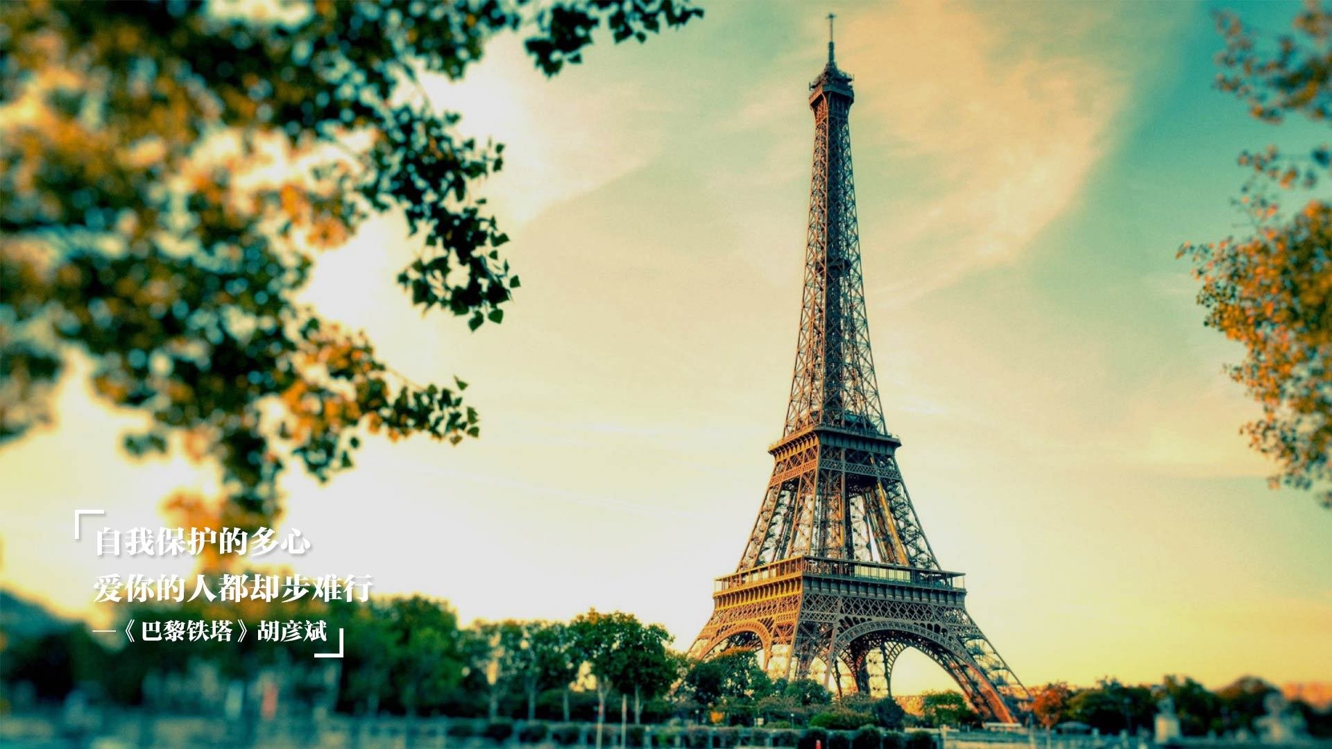 基层足球活动参与率调查,足球调研报告