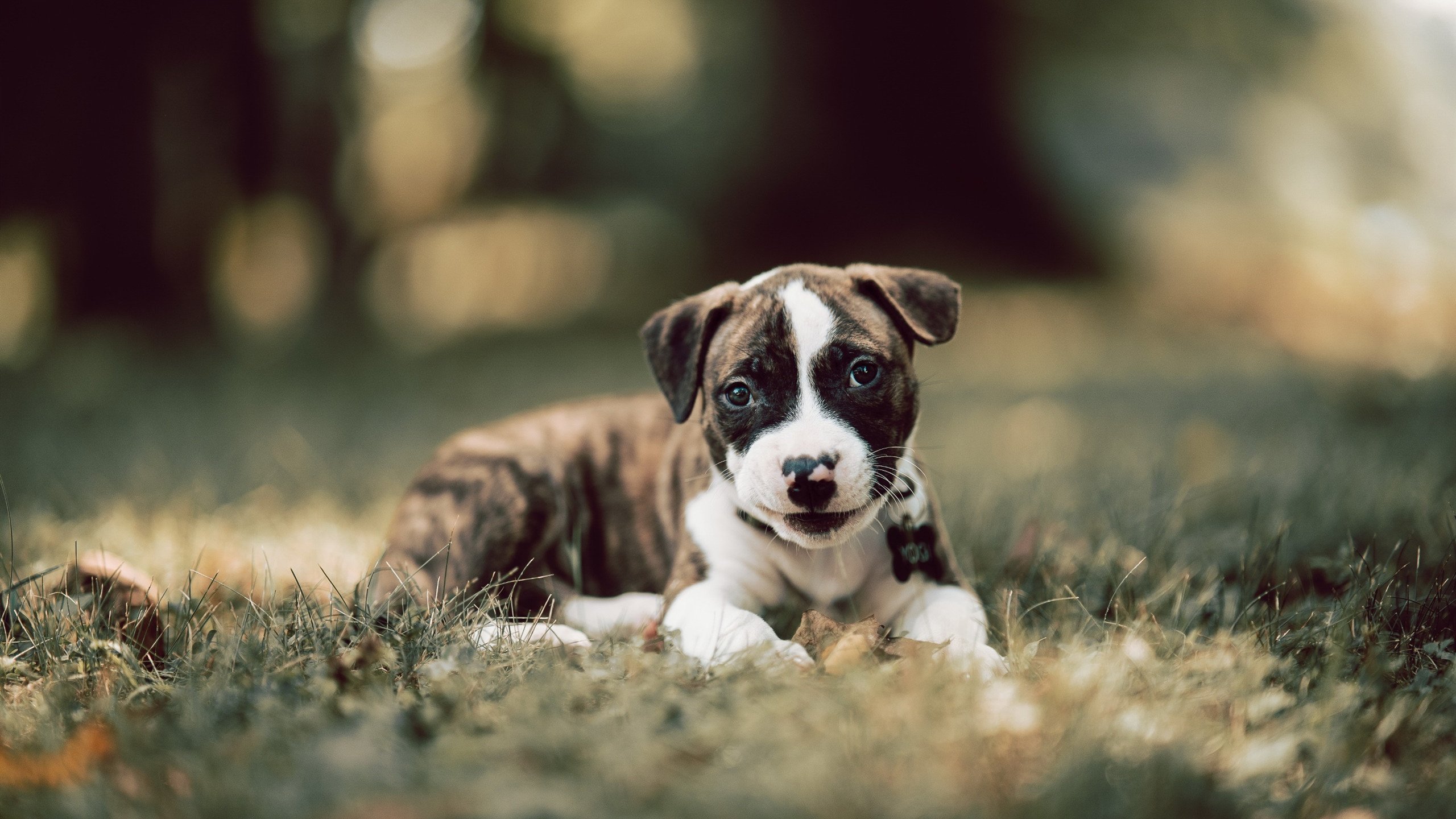 MILANSPORT下载-奥预赛中国女足平局 球员技术仍有待磨练，中国女足奥预赛规则