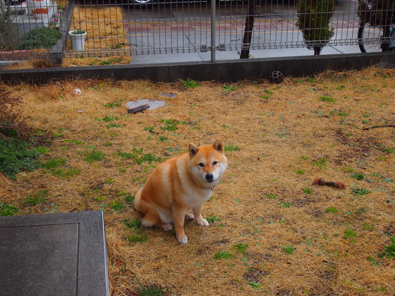 比赛临场调整成败手各队教练斗法精彩，大赛前夕,教练员喋喋不休地嘱咐
