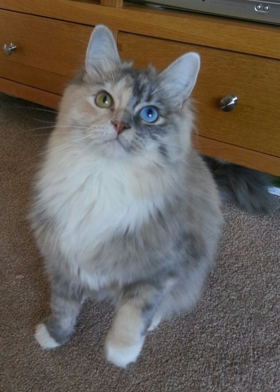 青少年运动营养课程进入中学选修体系，青少年运动营养的重要性