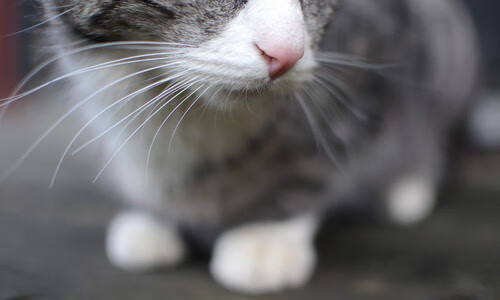 世界杯逆天逆转:英雄创造奇迹!,嗯世界杯的