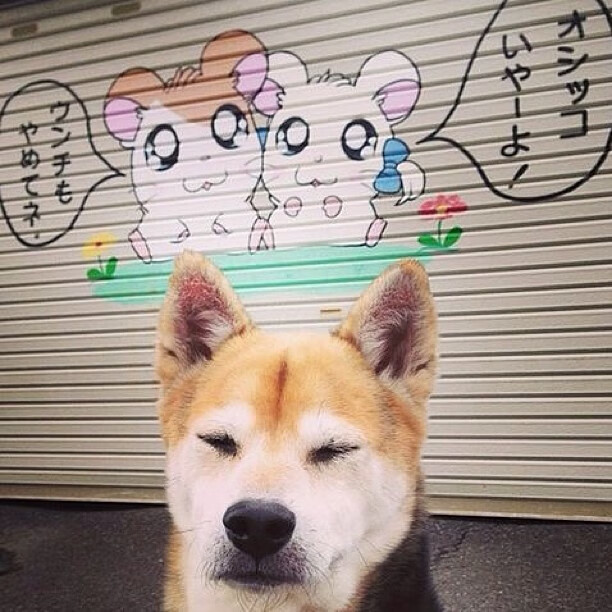 米兰登录入口-巴西青训体系持续改革，新一代足球明星不断涌现