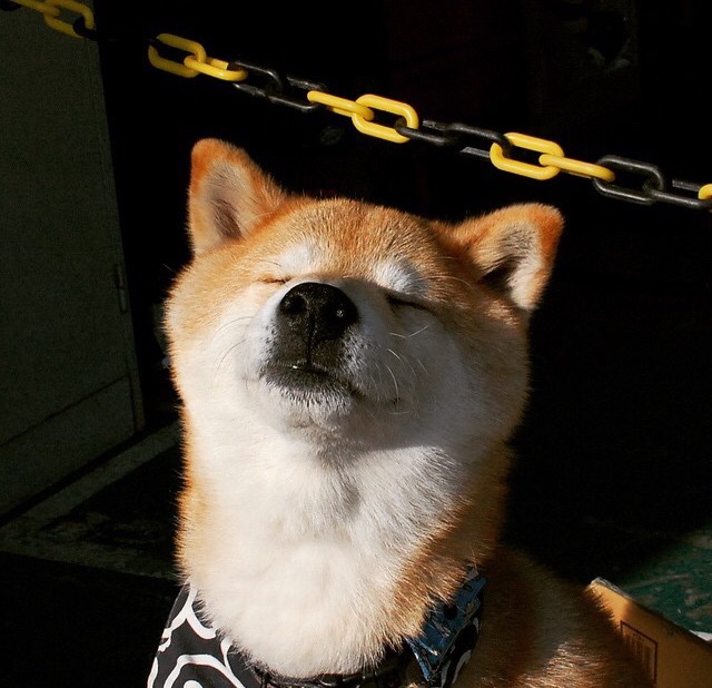 MILANSPORT入口-欧洲杯变阵突破：战术创新引领新潮流！，欧洲杯方案