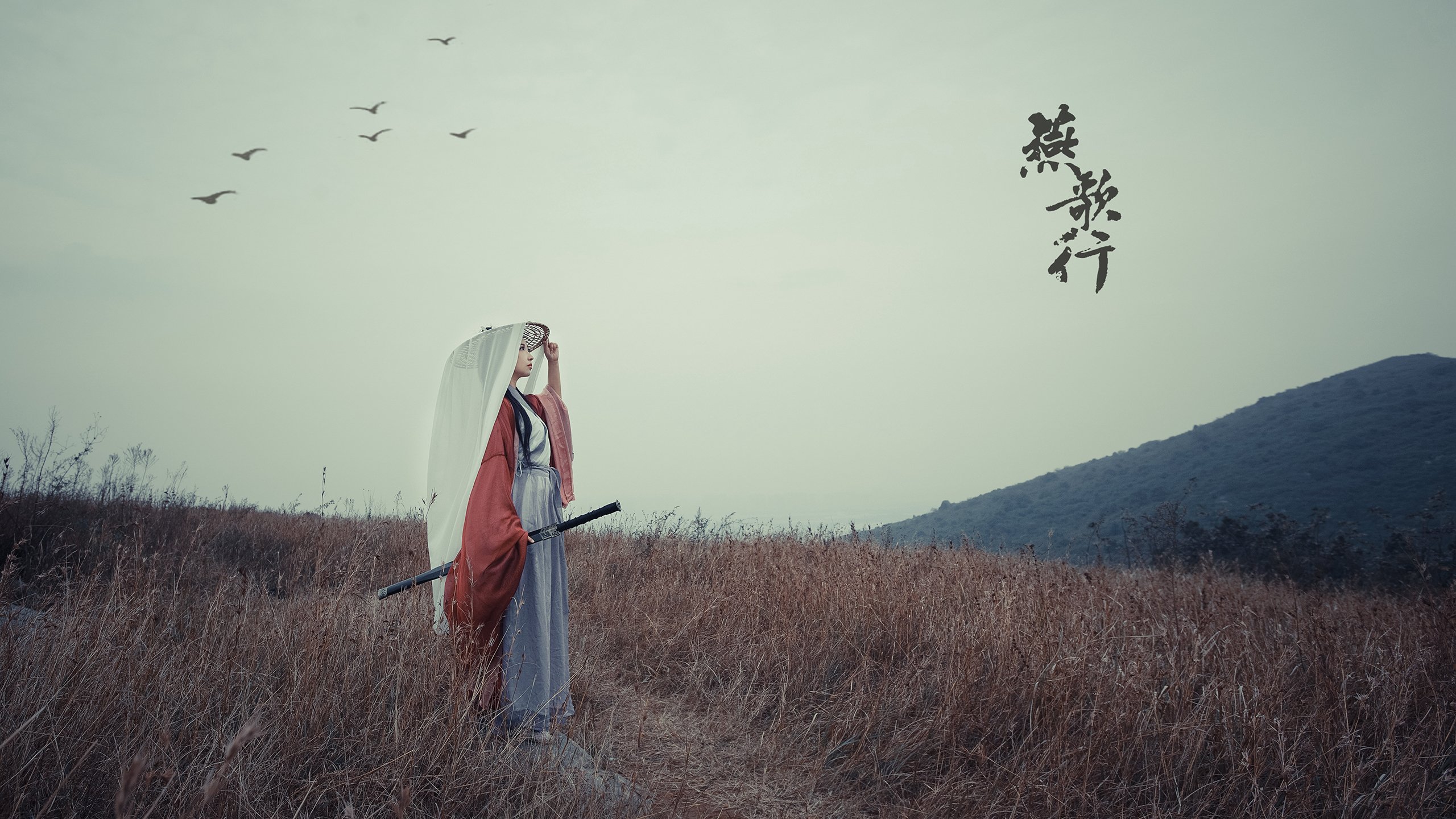 欧洲杯变阵突破：战术创新引领新潮流！，欧洲杯方案