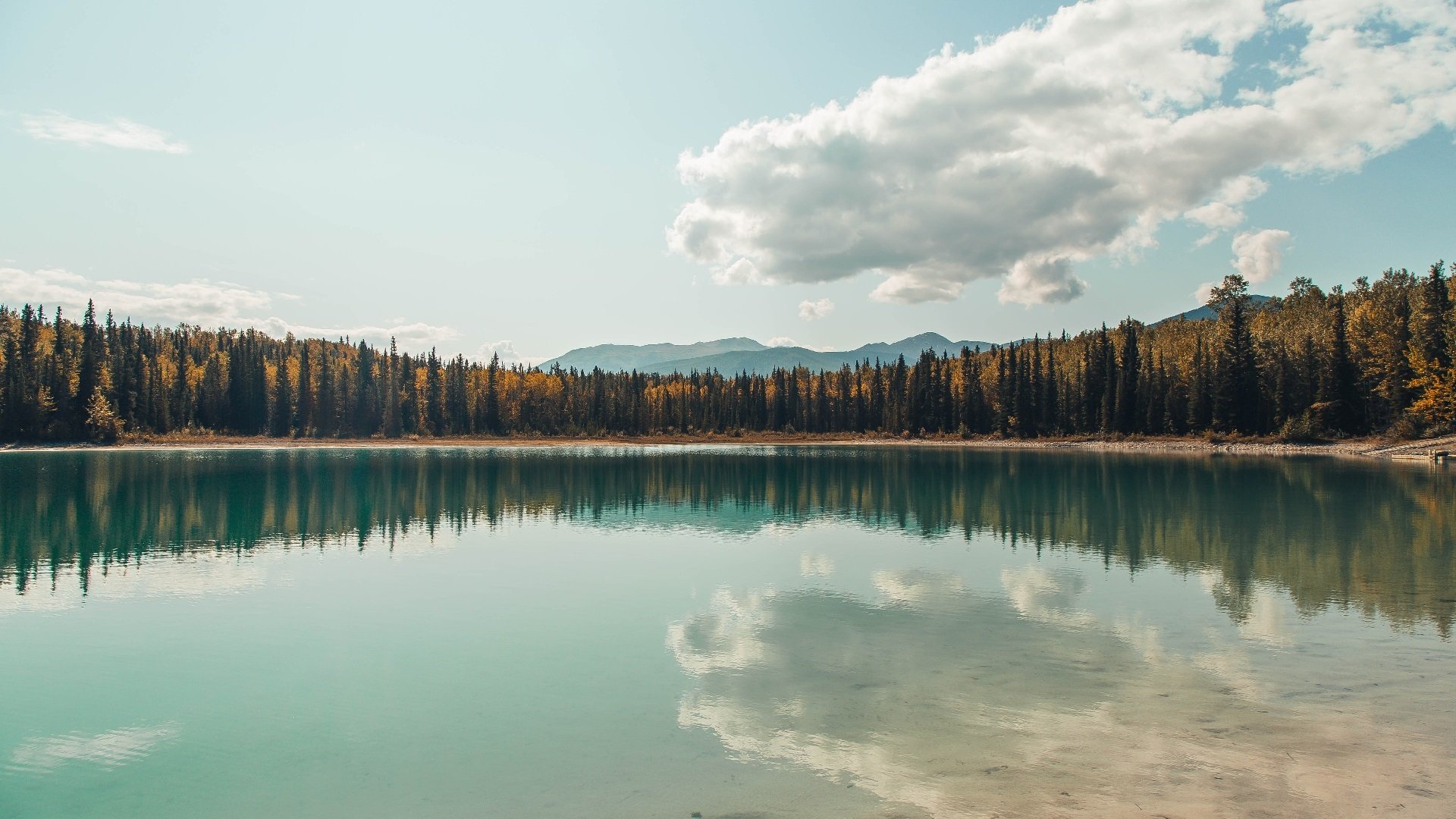 特色足球故事拍摄系列剧受到青少年群体广泛关注，足球主题摄影