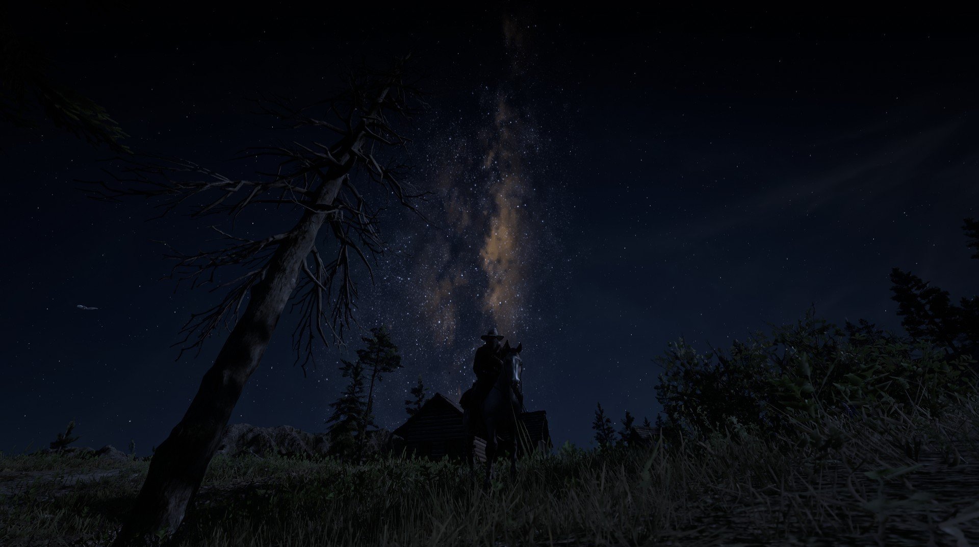 荷兰女将自由泳短程展现爆发力,荷兰游泳奥运冠军