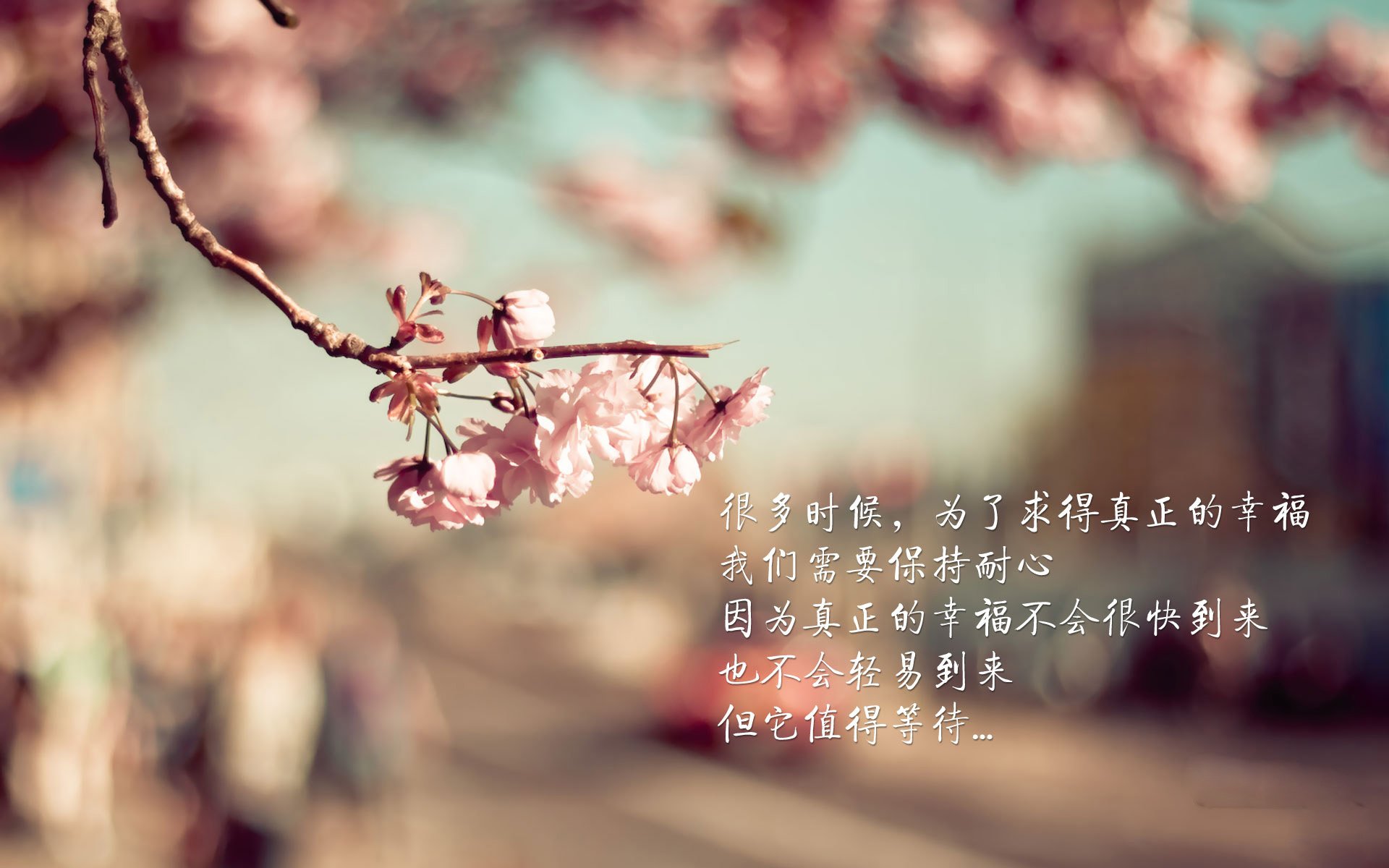 MILANSPORT下载-西甲闪耀世界杯：明星球员的巅峰之战，西甲足球明星